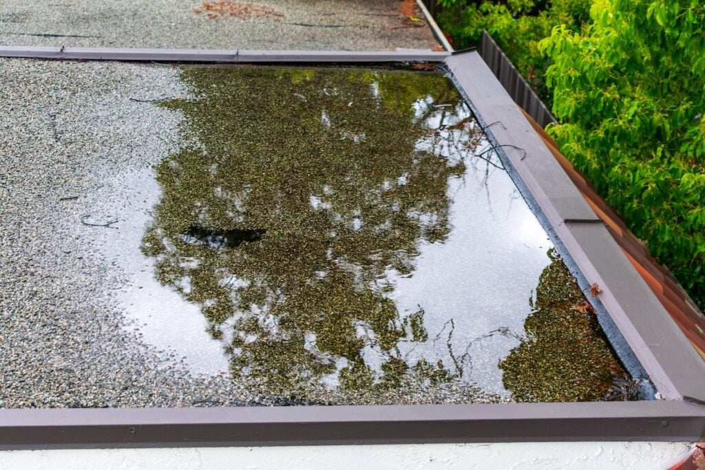 pooling water on a flat roof