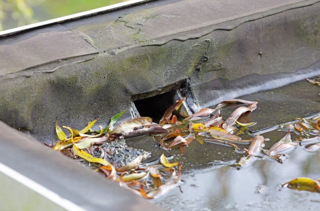 flat roof drainage