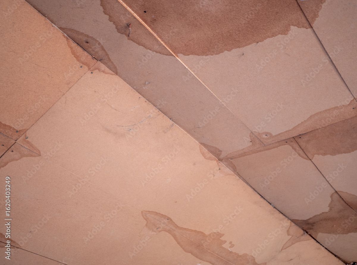 leak showing on ceiling