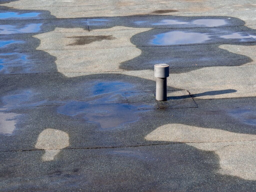 water puddles on a flat commercial roof