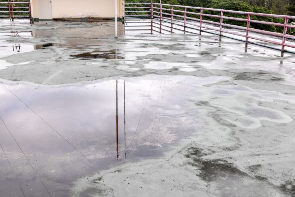 water puddles on a flat roof