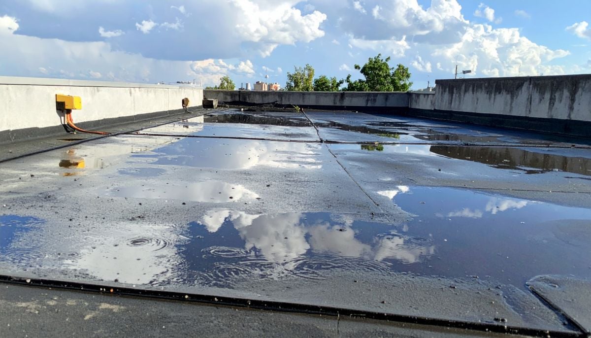 water puddles on a roof