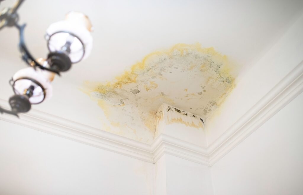 Tan water stain pattern spreading across white ceiling near crown molding