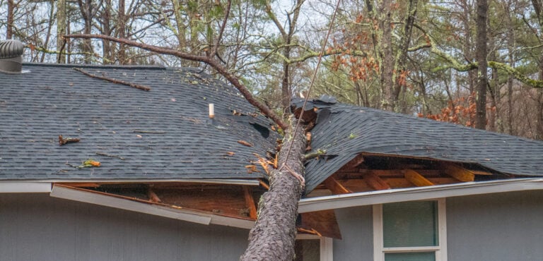 Large fallen tree pierces asphalt shingle roof exposing wood decking