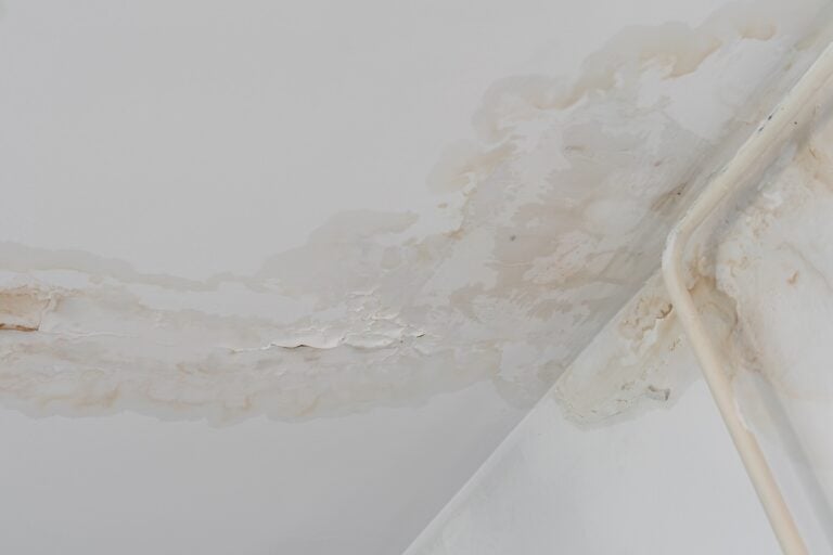 Tan water stain pattern spreading across white ceiling near crown molding
