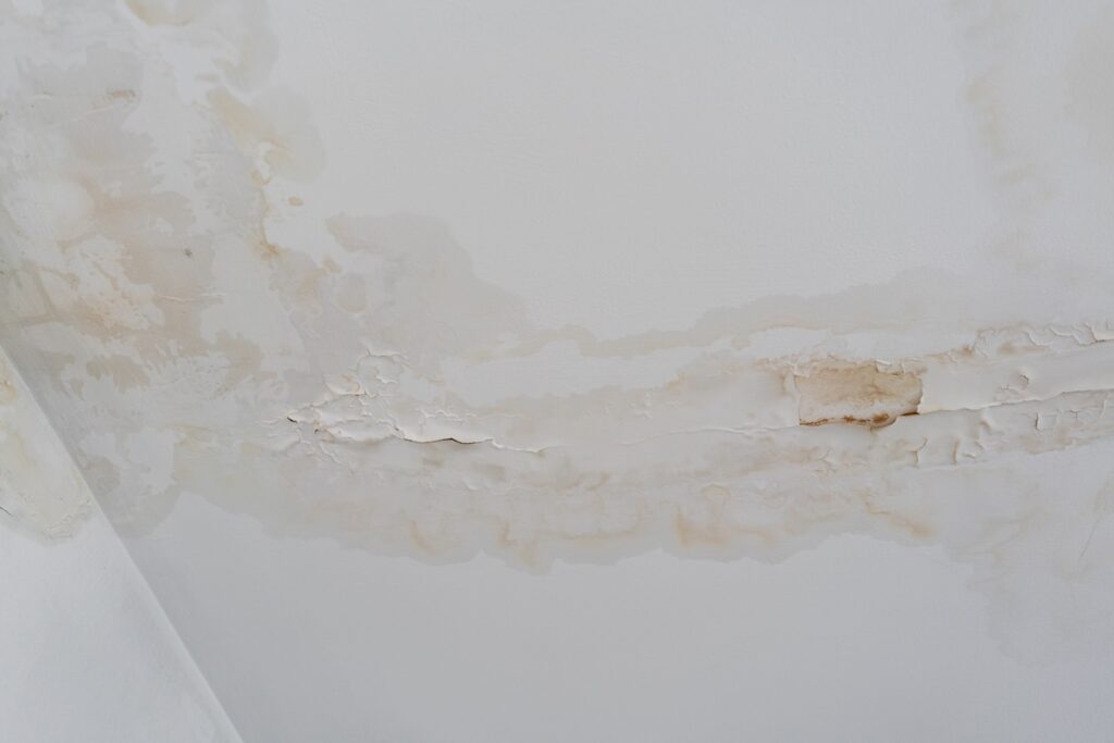 Tan water stain pattern spreading across white ceiling near crown molding