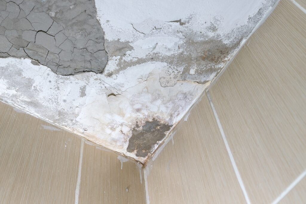 Black mold growth on cracked ceiling corner above tiled shower wall