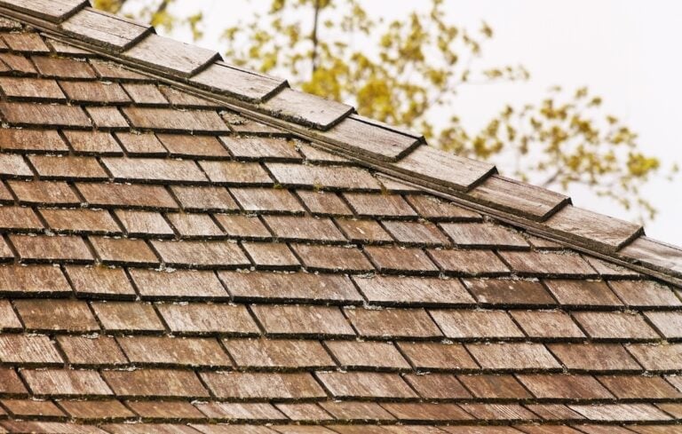 Weathered cedar shake roof shows moss along the ridge line against tree branches
