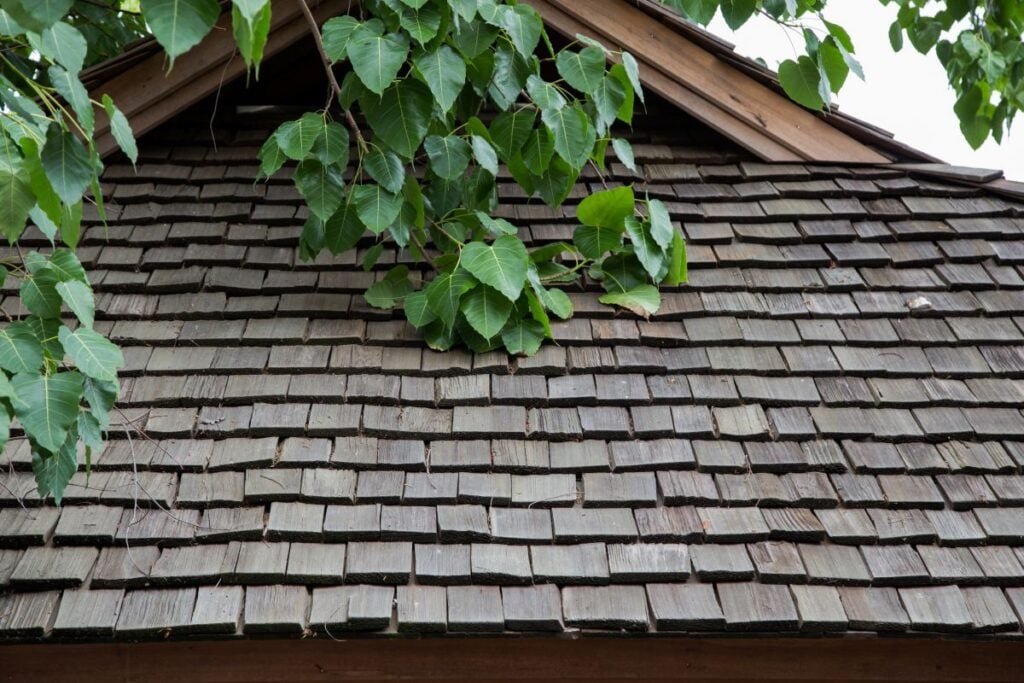 Old wooden cedar shake roof