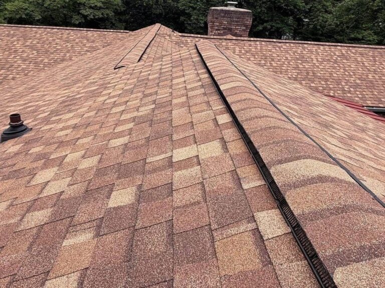 Close-up of a brown asphalt shingle