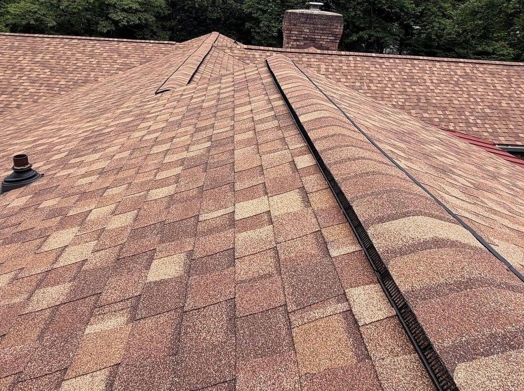Close-up of a brown asphalt shingle