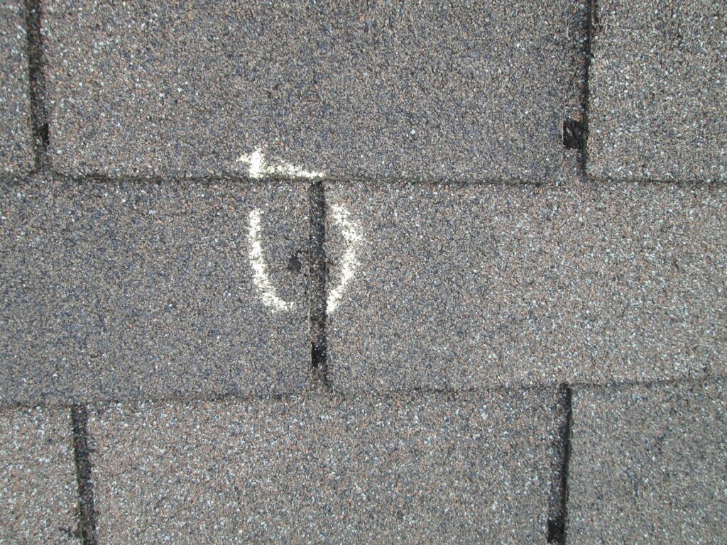 Hail Damaged Roofing Shingles Inspection