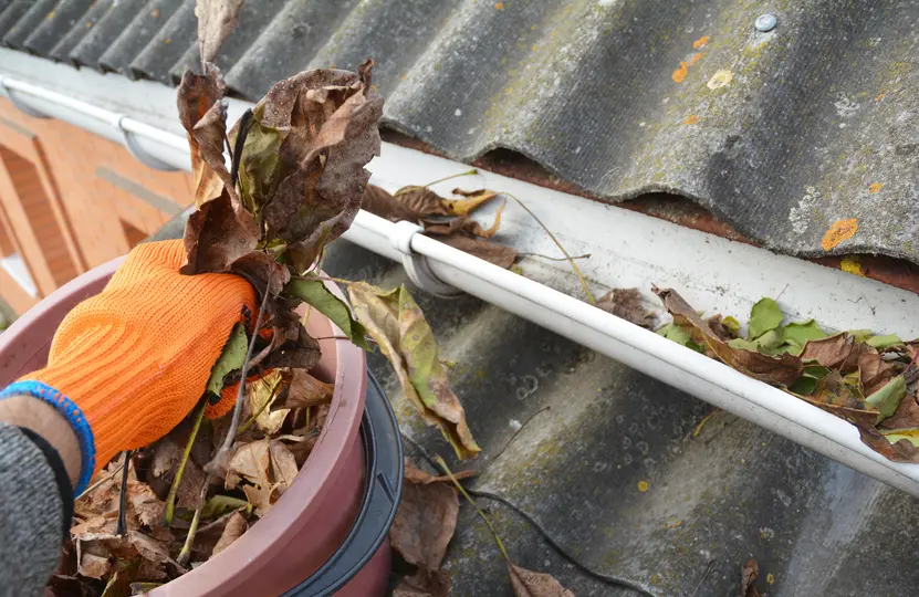 Person cleaning fall leaves from a gutter during the fall